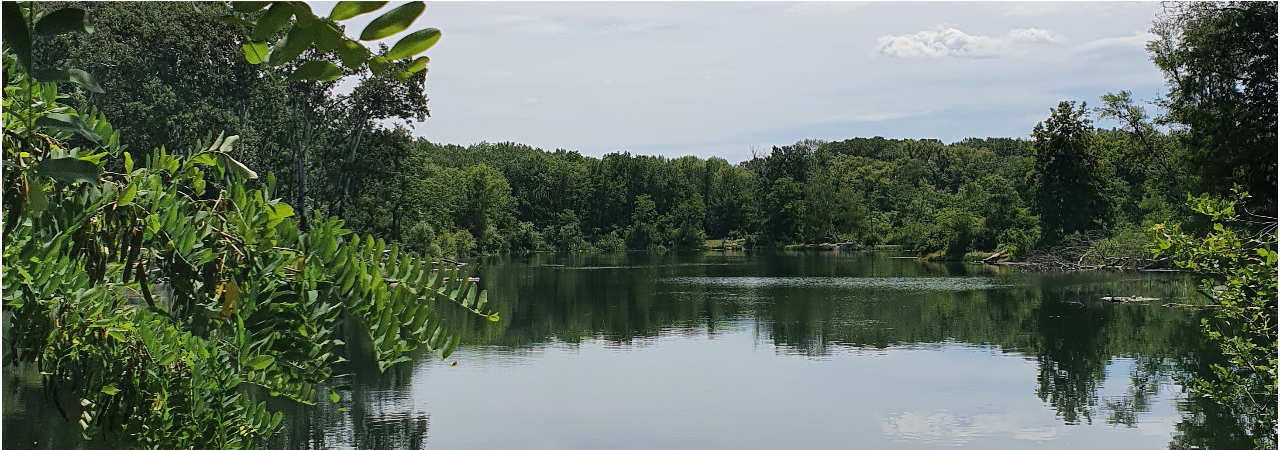 Nationalpark Lobau Donau-Auen